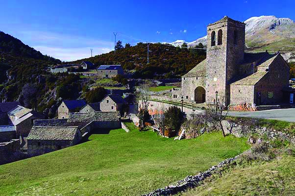 viñedo_vinos_aragon